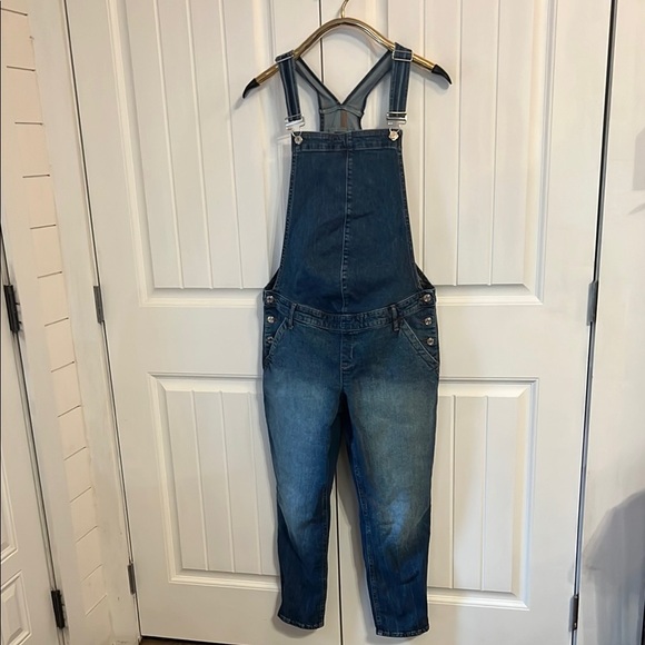 GAP Denim - GAP Women's Maternity Medium Denim Overalls